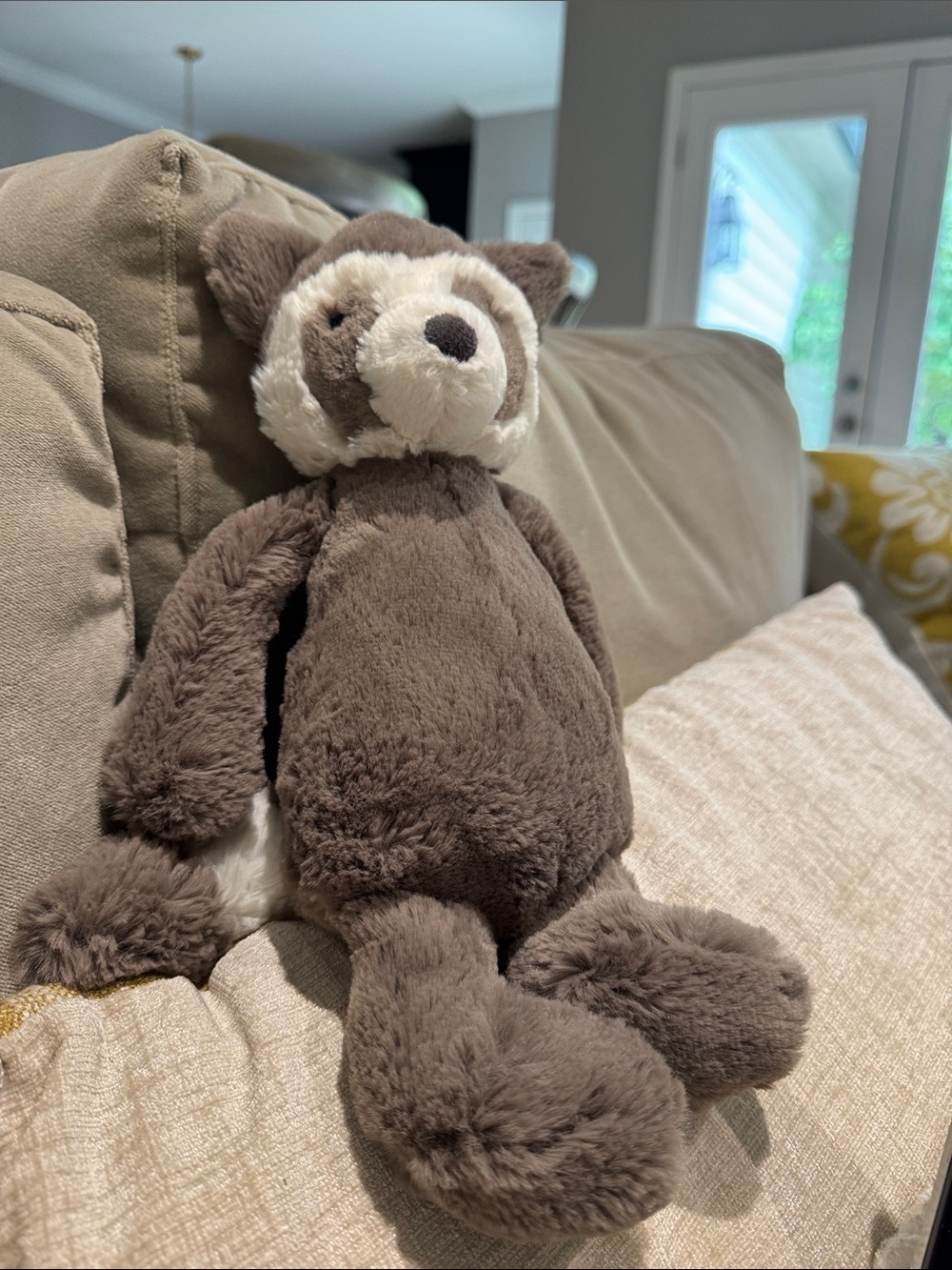 Precious jellycat bashful raccoon jimothy 12”